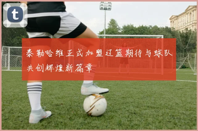 泰勒哈维正式加盟辽篮期待与球队共创辉煌新篇章