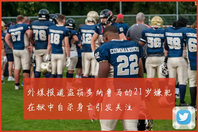 外媒报道盗窃多纳鲁马的21岁嫌犯在狱中自杀身亡引发关注