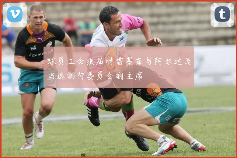 球员工会换届特雷墨菲与阿尔达马当选执行委员会副主席
