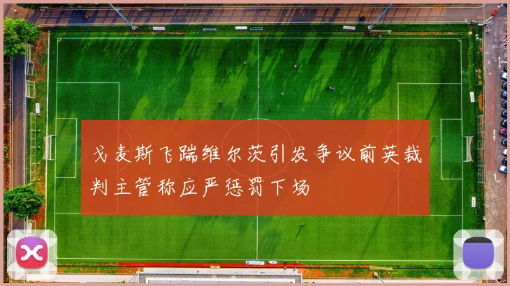 戈麦斯飞踹维尔茨引发争议前英裁判主管称应严惩罚下场