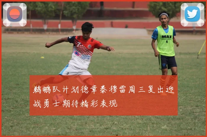 鹈鹕队计划德章泰穆雷周三复出迎战勇士期待精彩表现