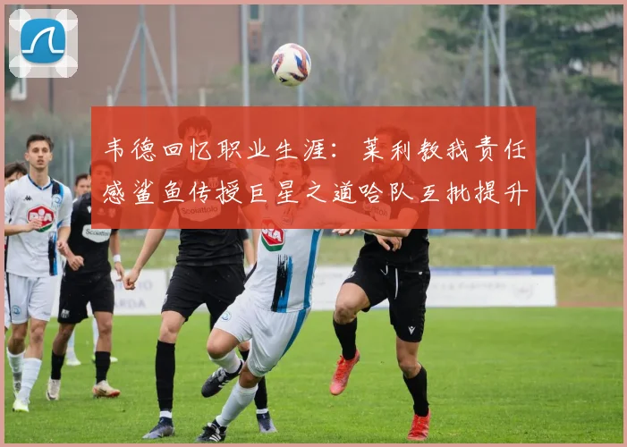 韦德回忆职业生涯：莱利教我责任感鲨鱼传授巨星之道哈队互批提升自我